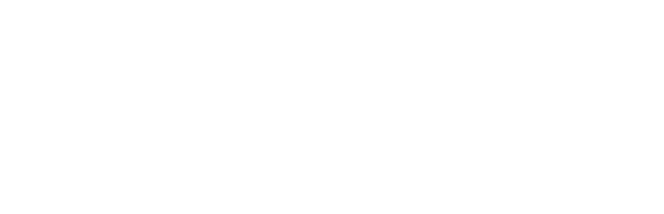 PWC Logo