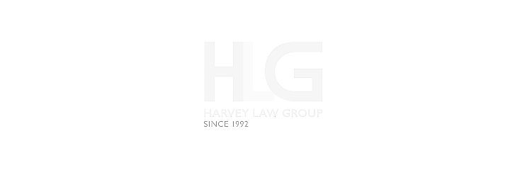 HLG Group Logo